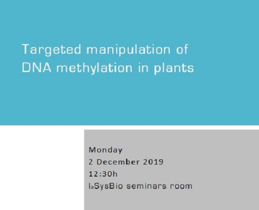 Targeted manipulation of DNA methylation in plants